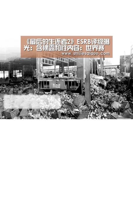 世界赛官网