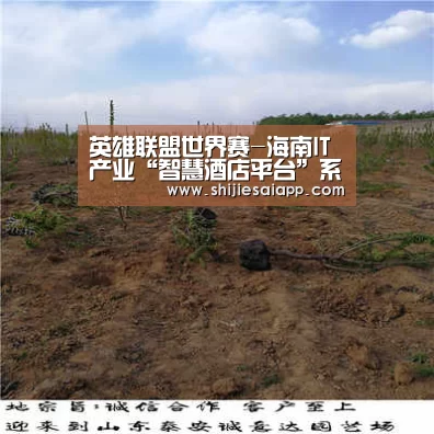 世界赛官网