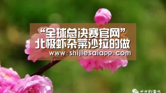 全球总决赛官网